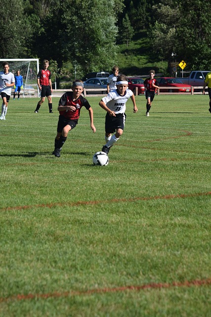 许多球迷的 许多球迷的