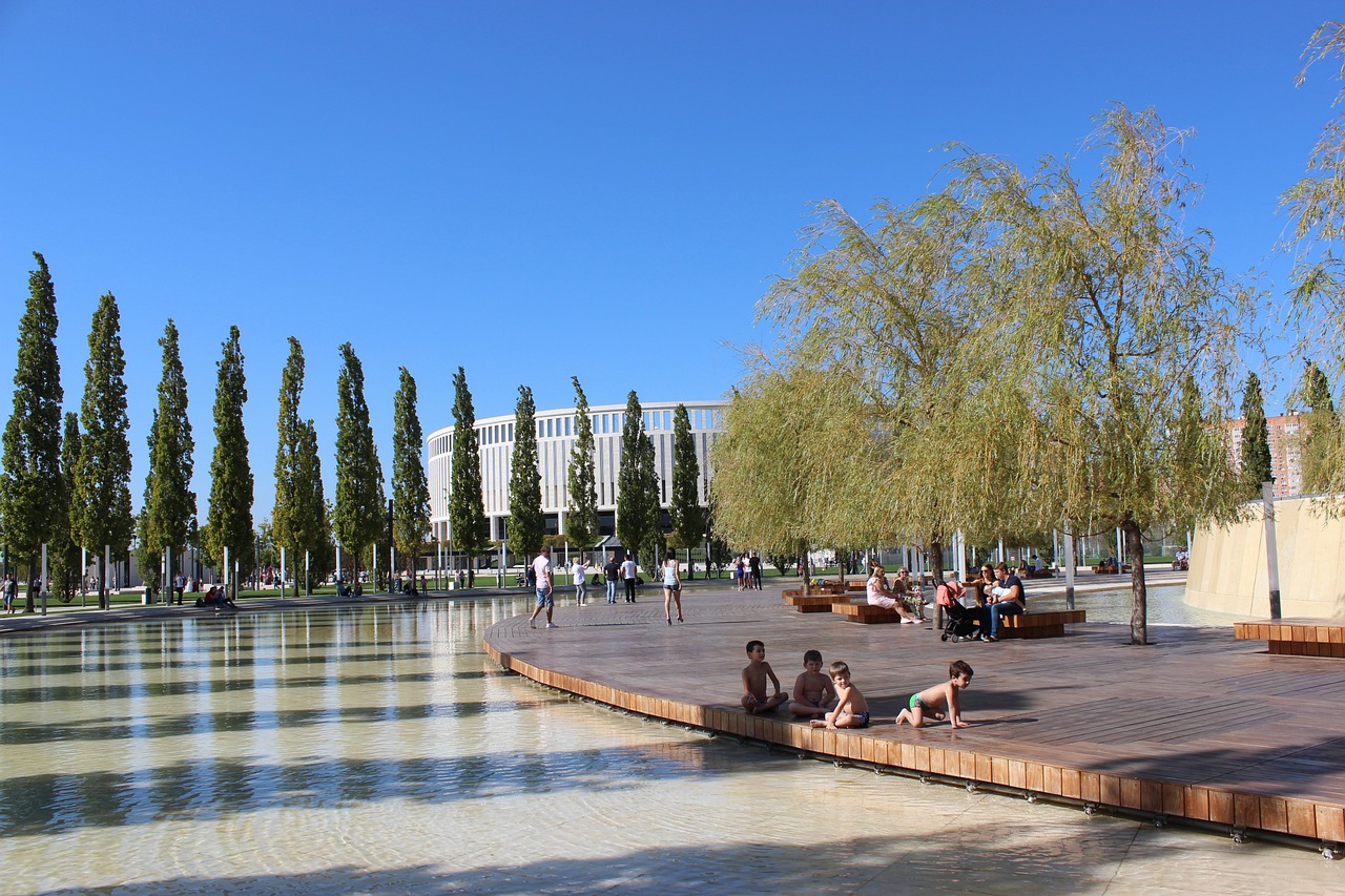 己的位置 己的位置