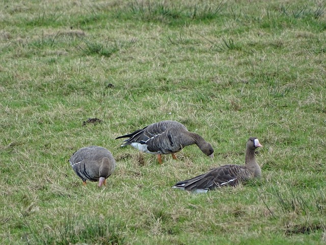 得头名的机 得头名的机